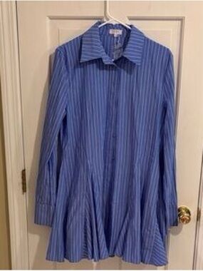 Blue Pinstripe Button-Front Mini Shirt Dress